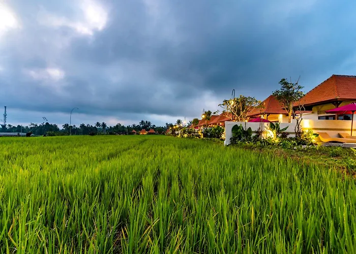 Akshaya Ubud By Dhananjaya Hospitality فيلة *