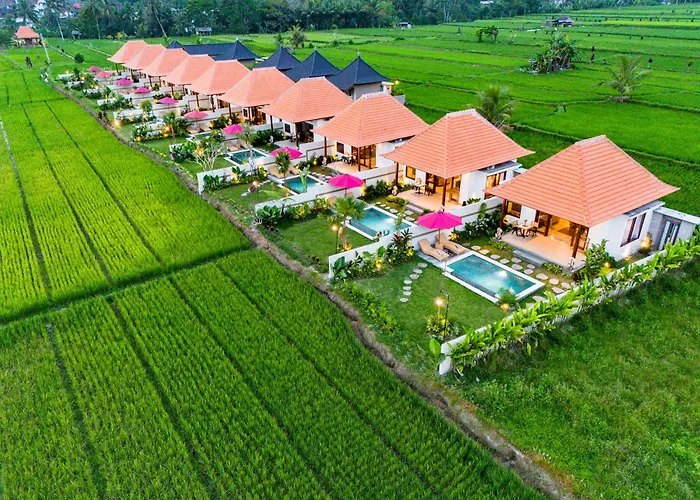 Akshaya Ubud By Dhananjaya Hospitality فيلة *